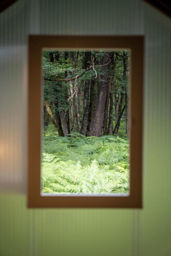 Camping Bois De St Hilaire Chalandray 외부 사진