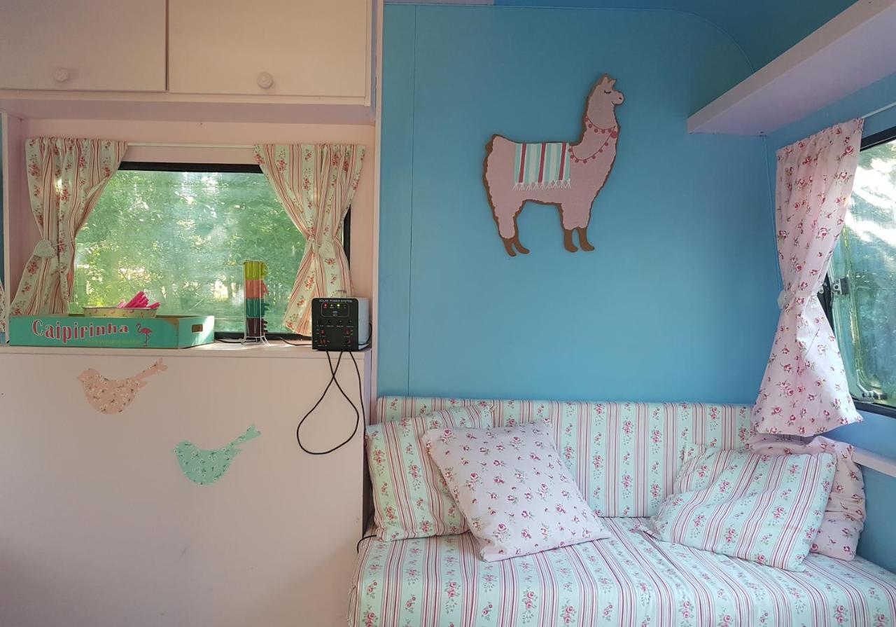Camping Bois De St Hilaire Chalandray 외부 사진