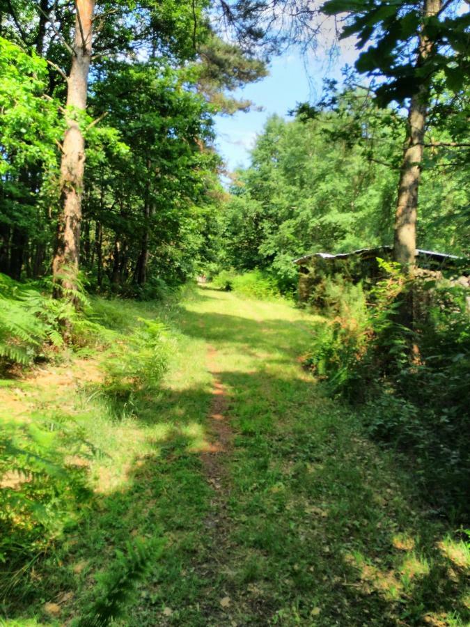Camping Bois De St Hilaire Chalandray 외부 사진