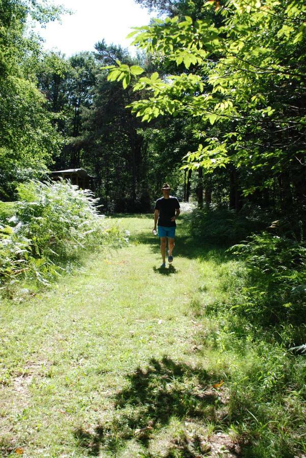 Camping Bois De St Hilaire Chalandray 외부 사진